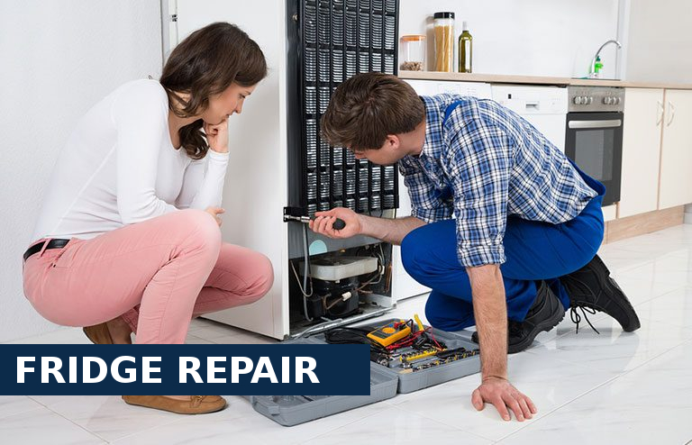 Fridge Repair North Cheam